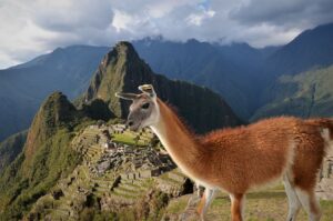 Viaja Machu Picchu Cusco - Tour Machu Picchu 2022 - Camino Inca Machu Picchu - Tour Machu Picchu Cusco 2022